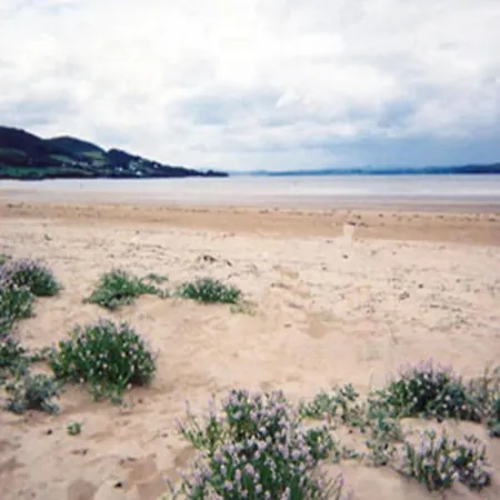 An Grianan